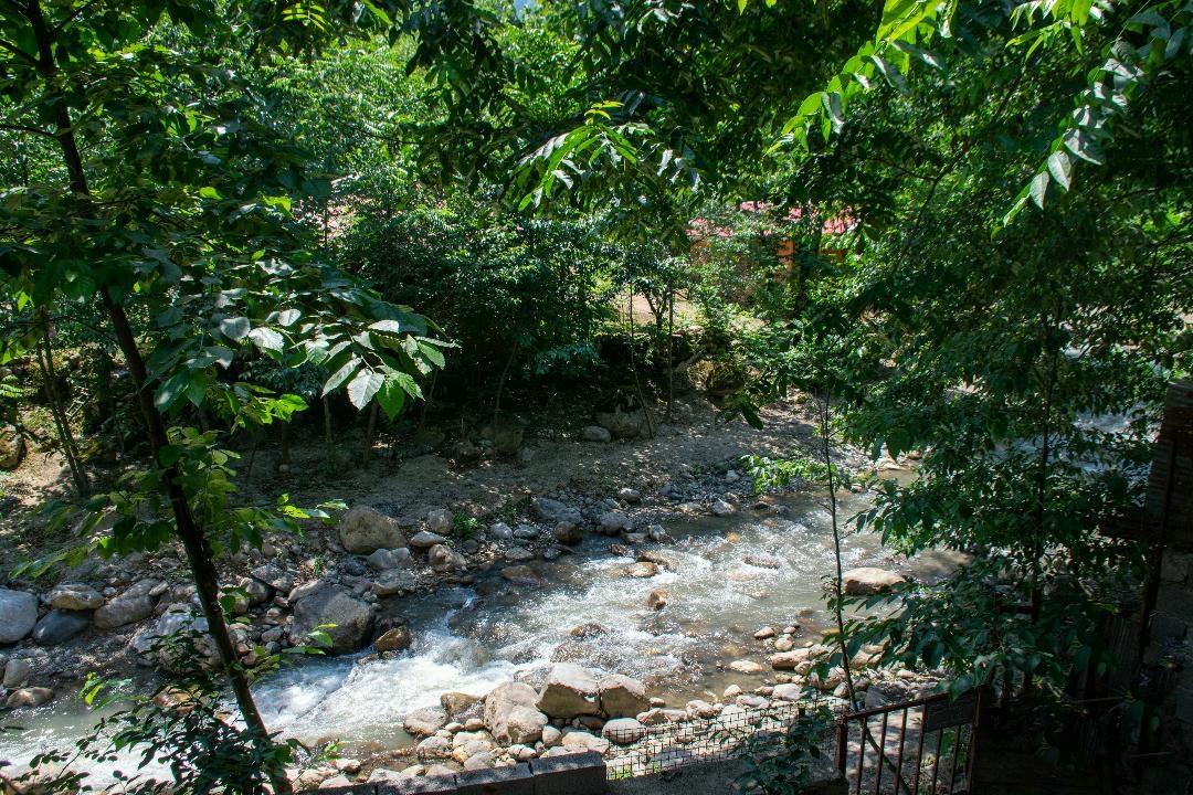 اجاره واحد جنگلی لب رودخونه در ماسال