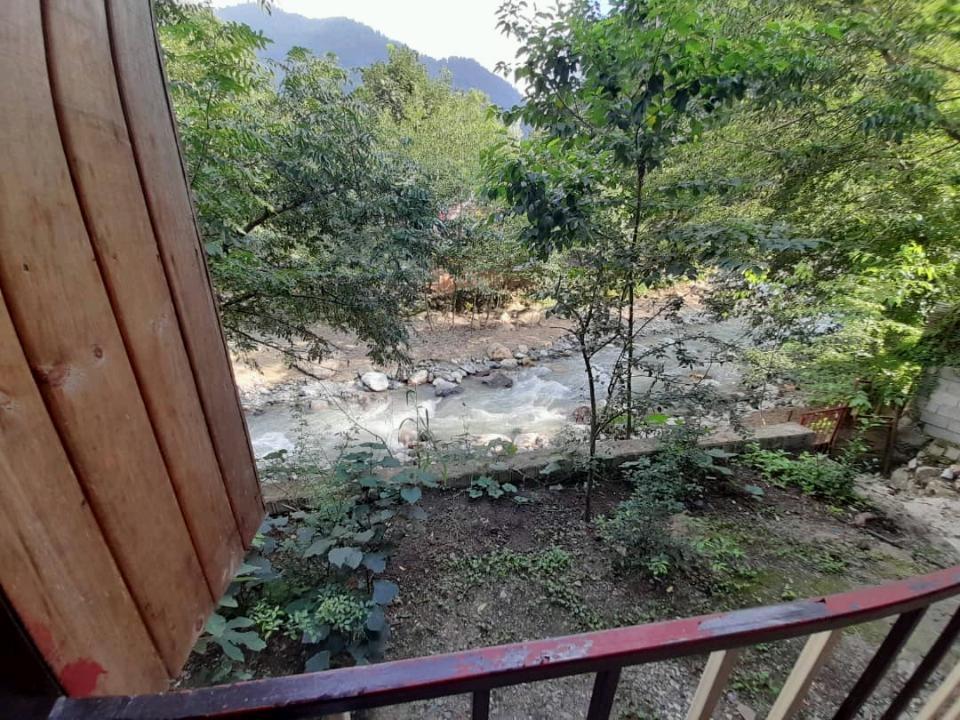 اجاره واحد جنگلی لب رودخونه در ماسال