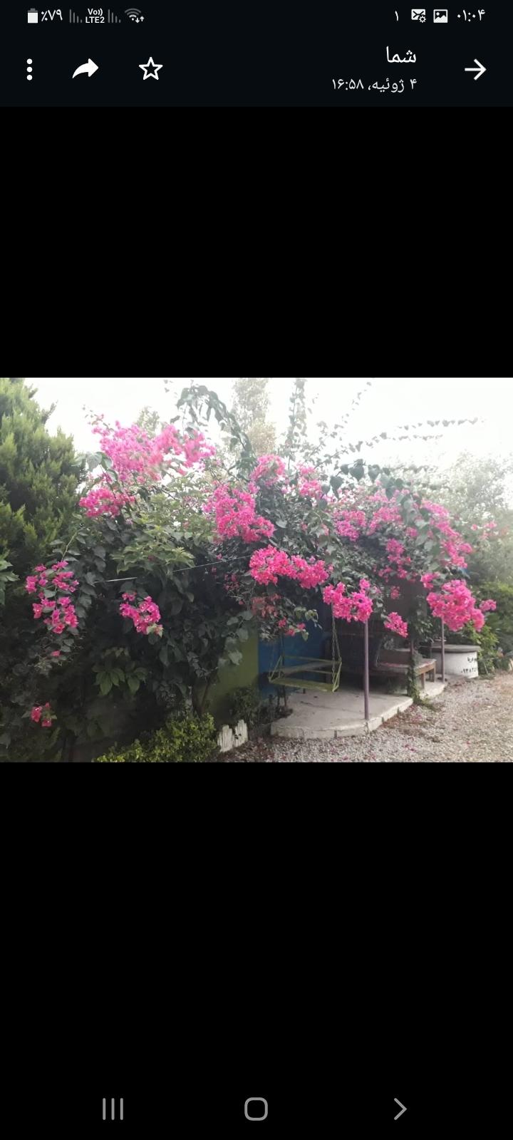 واحد ۱ تکخوابه همکف ویلای شمیم دریا چالوس