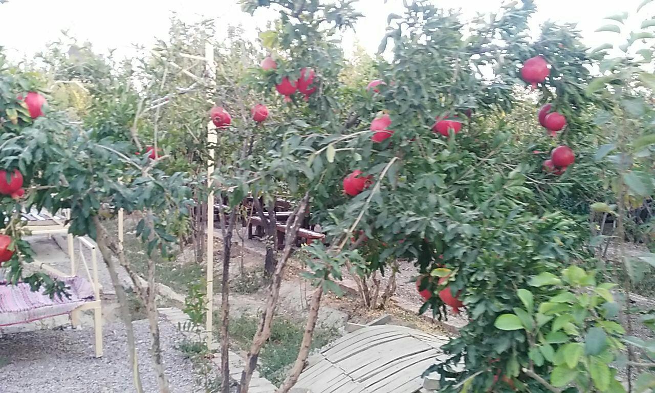 اجاره اقامتگاه بوم گردی ثامن در فردوس