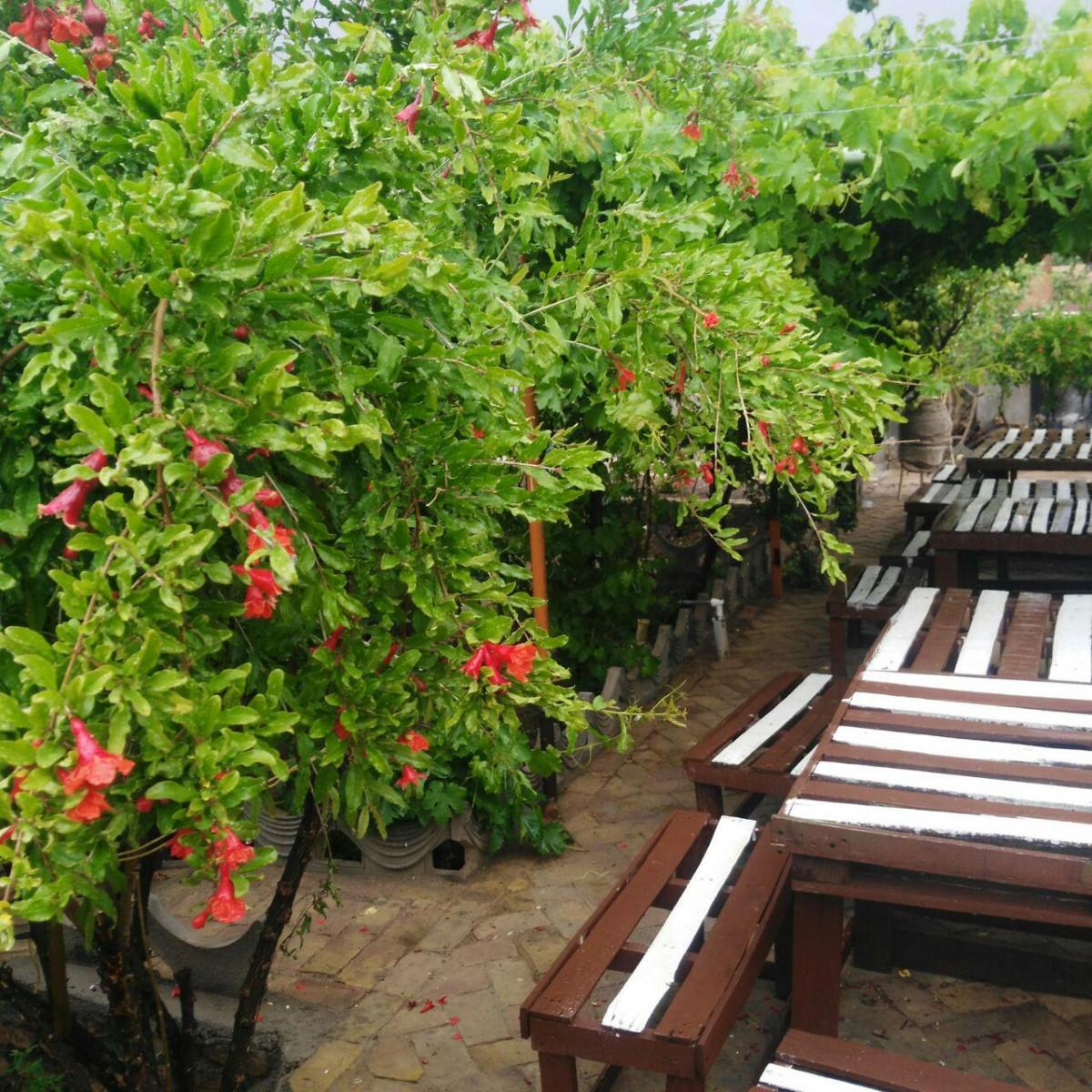 اجاره اقامتگاه بوم گردی ثامن در فردوس