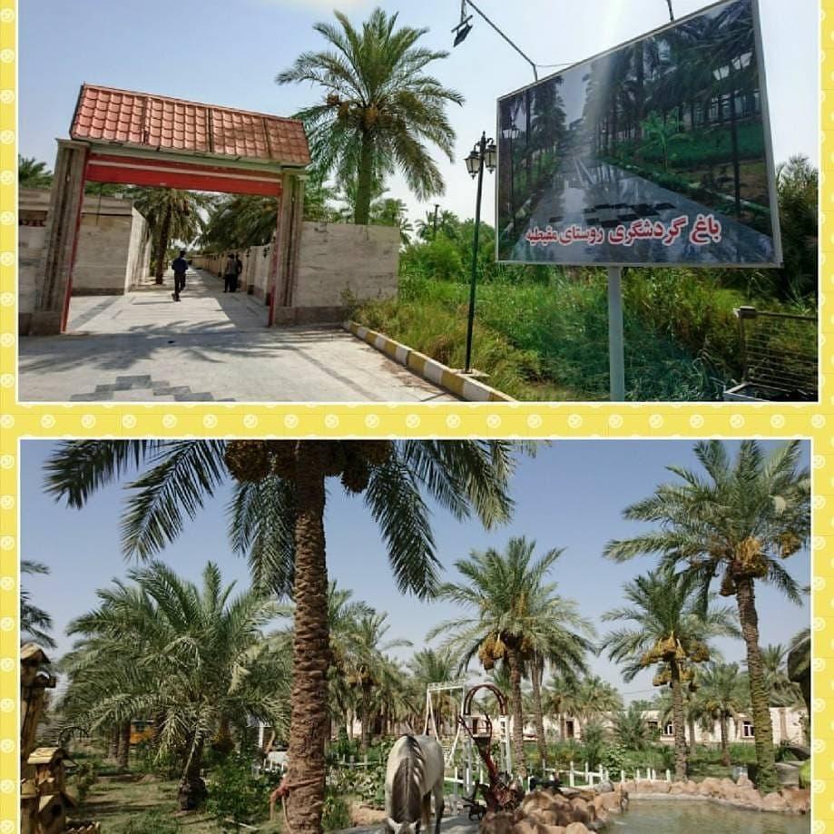 سوئیت 108 باغ طالبی