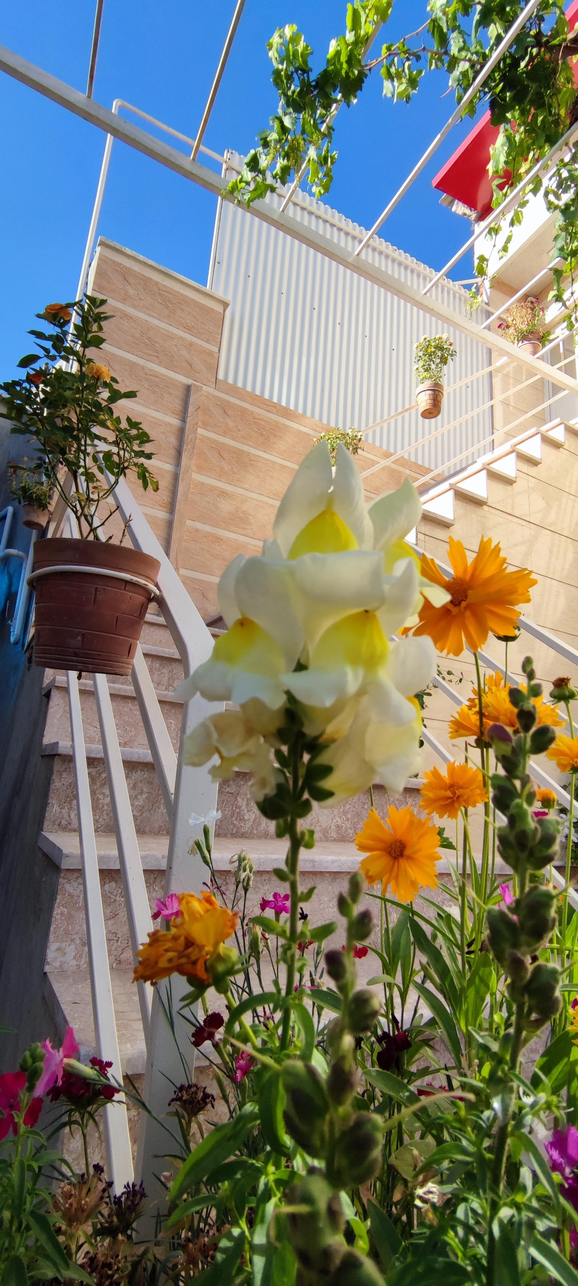 اقامتگاه بوم گردی هامپوئیل در مراغه