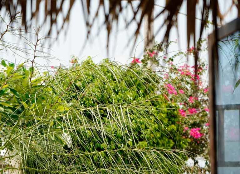 اقامتگاه ساحلی کارادنیز جزیره هنگام