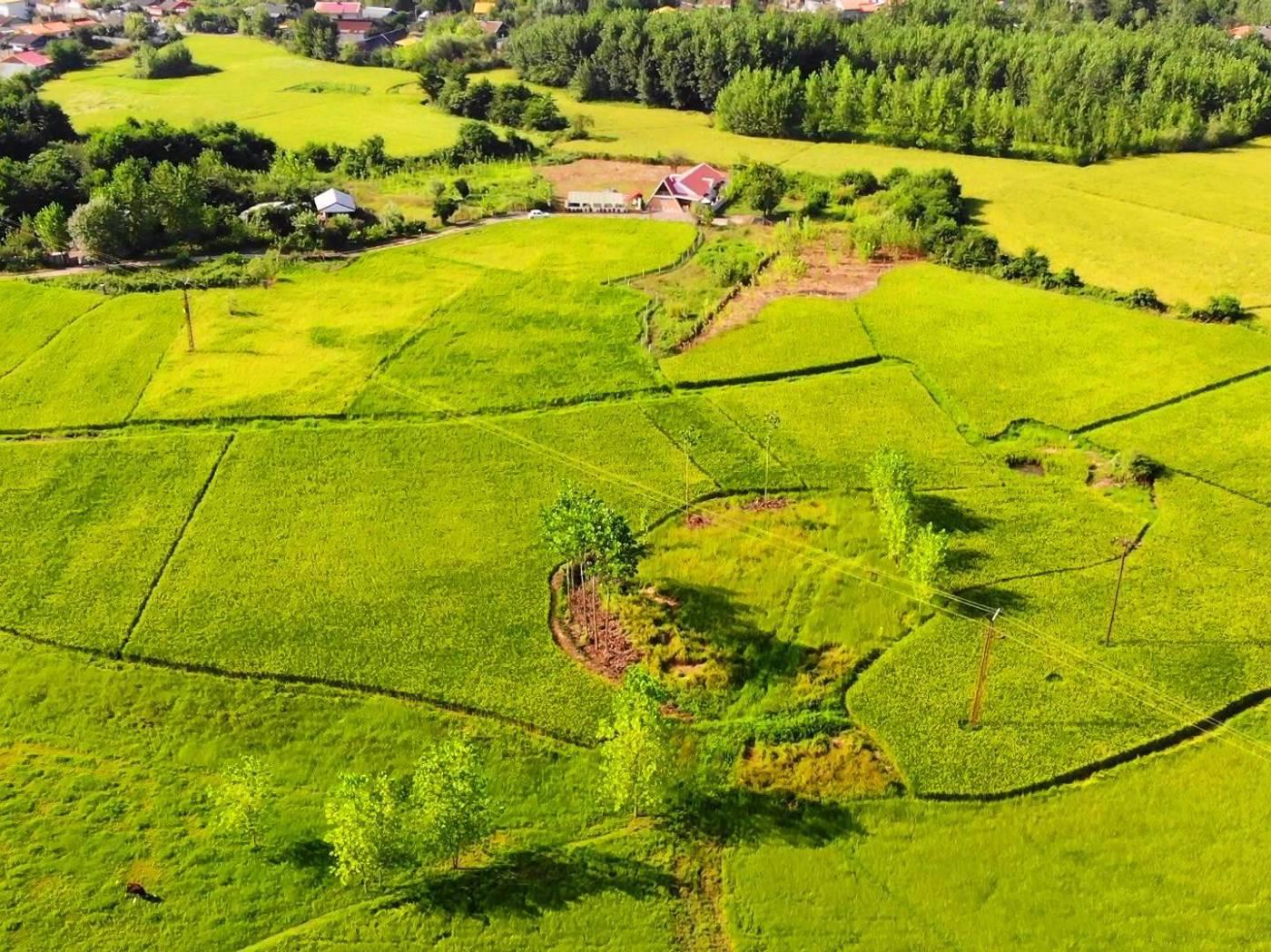 ویلا شیک نوساز 2 منطقه آزاد انزلی