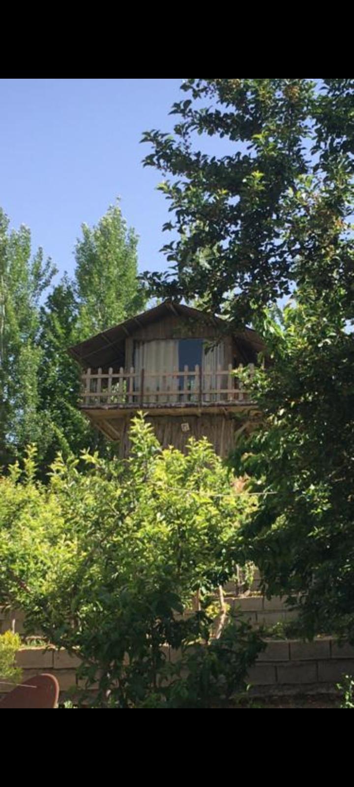 ویلا با استخر آبگرم وکلبه جنگلی در کودیان