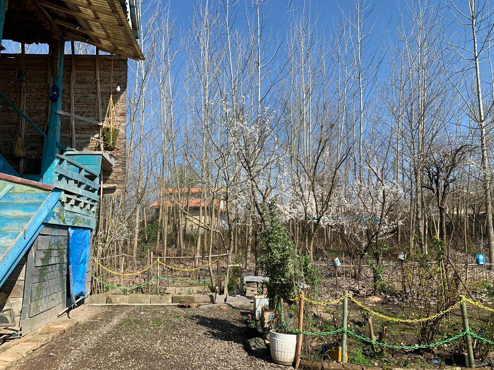 اجاره اقامتگاه بوم گردی حاج علی لاهیجان