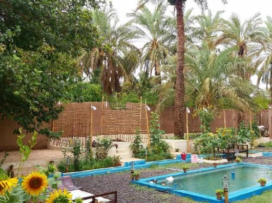 اقامتگاه بوم گردی نخل و نارنج در بم