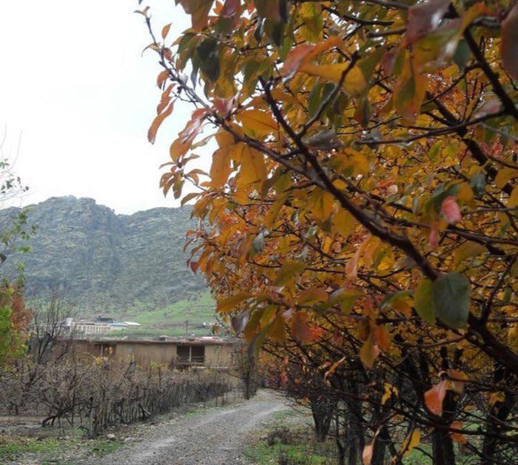 اجاره اقامتگاه بوم گردی کلدر در خرم آباد