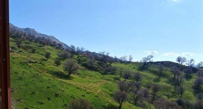 اقامتگاه بوم گردی دار بلوط در خرم آباد