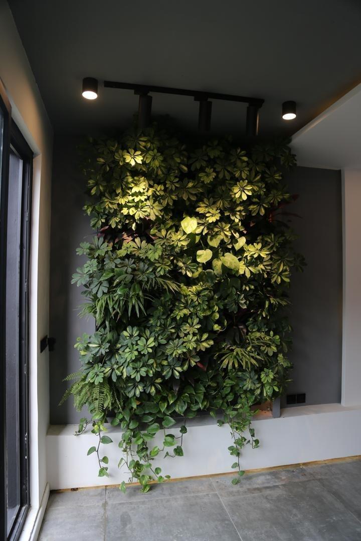 ویلا مدرن با استخر سرپوشیده در محموآباد