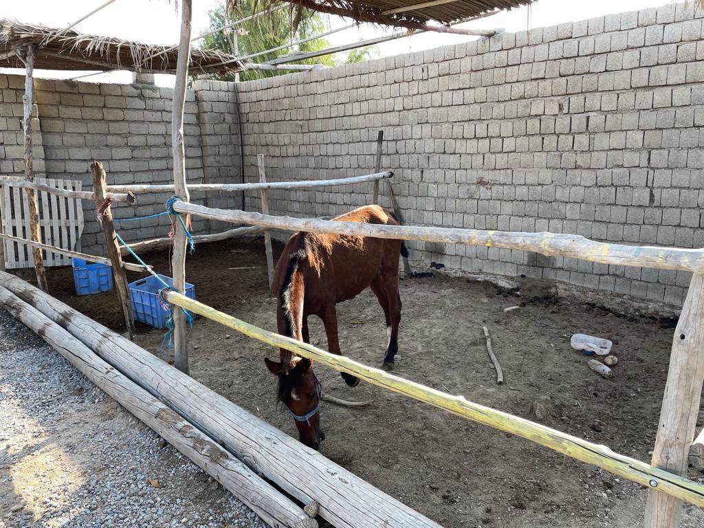 اجاره اقامتگاه بوم گردی لرد در سوزا