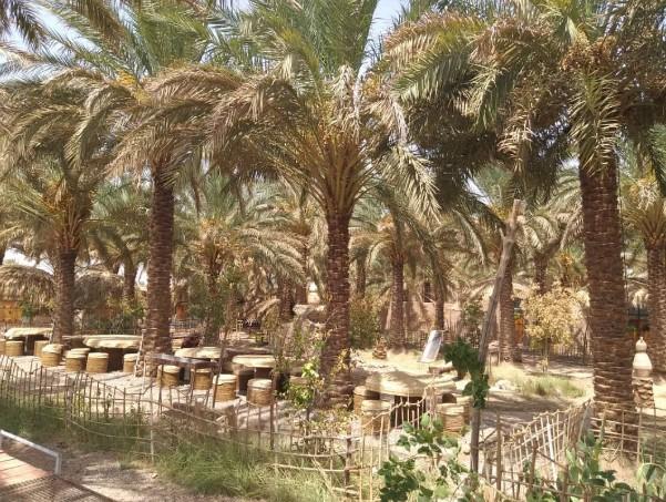 اقامتگاه بوم گردی نخلستان کویر در شهداد