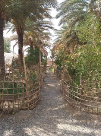 اقامتگاه بوم گردی نخلستان کویر در شهداد