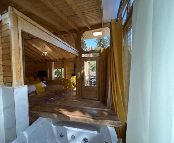 سوئیت داوینچی با جکوزی در فیروزکوه