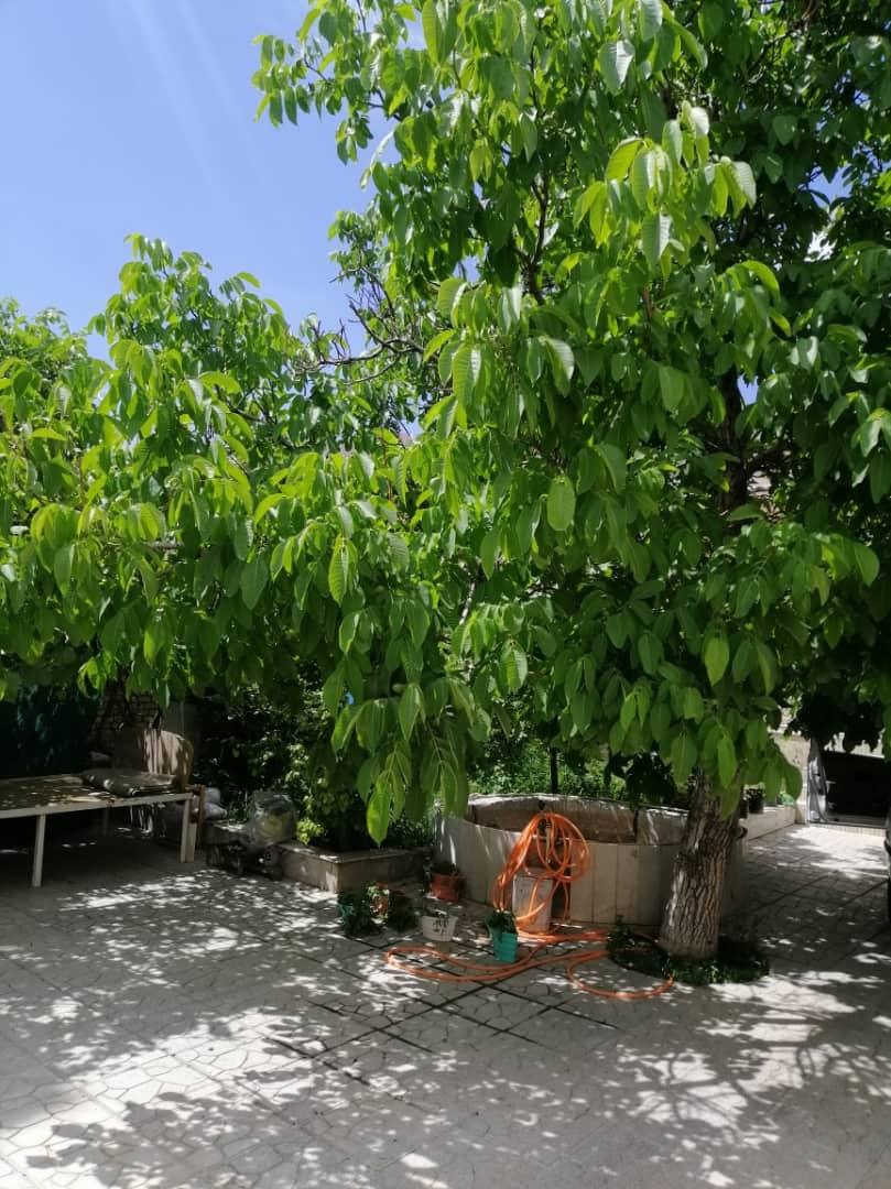 ویلایی دنج با دسترسی مطلوب یاس در شهمیرزاد