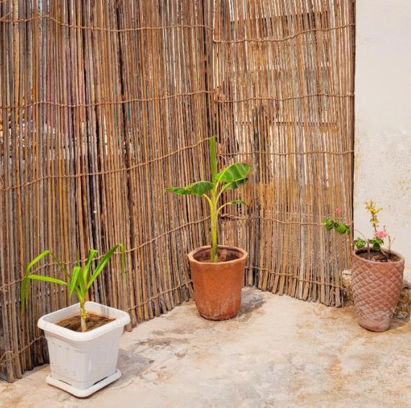 اقامتگاه بوم گردی دره سفید جزیره هرمز