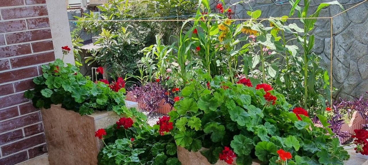 ویلای ساحلی دو خوابه تیجا - میجا