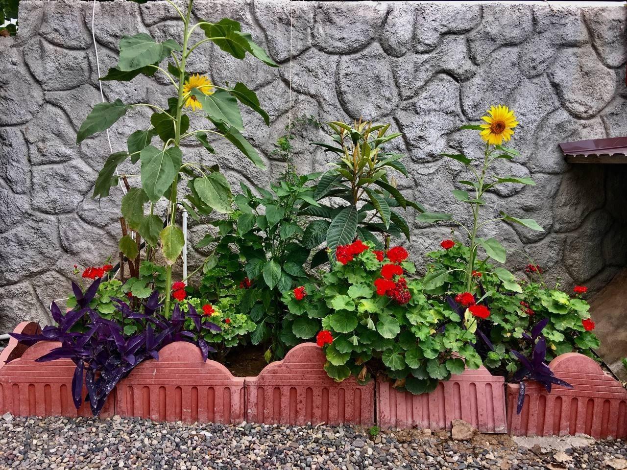 ویلای ساحلی دو خوابه تیجا - میجا