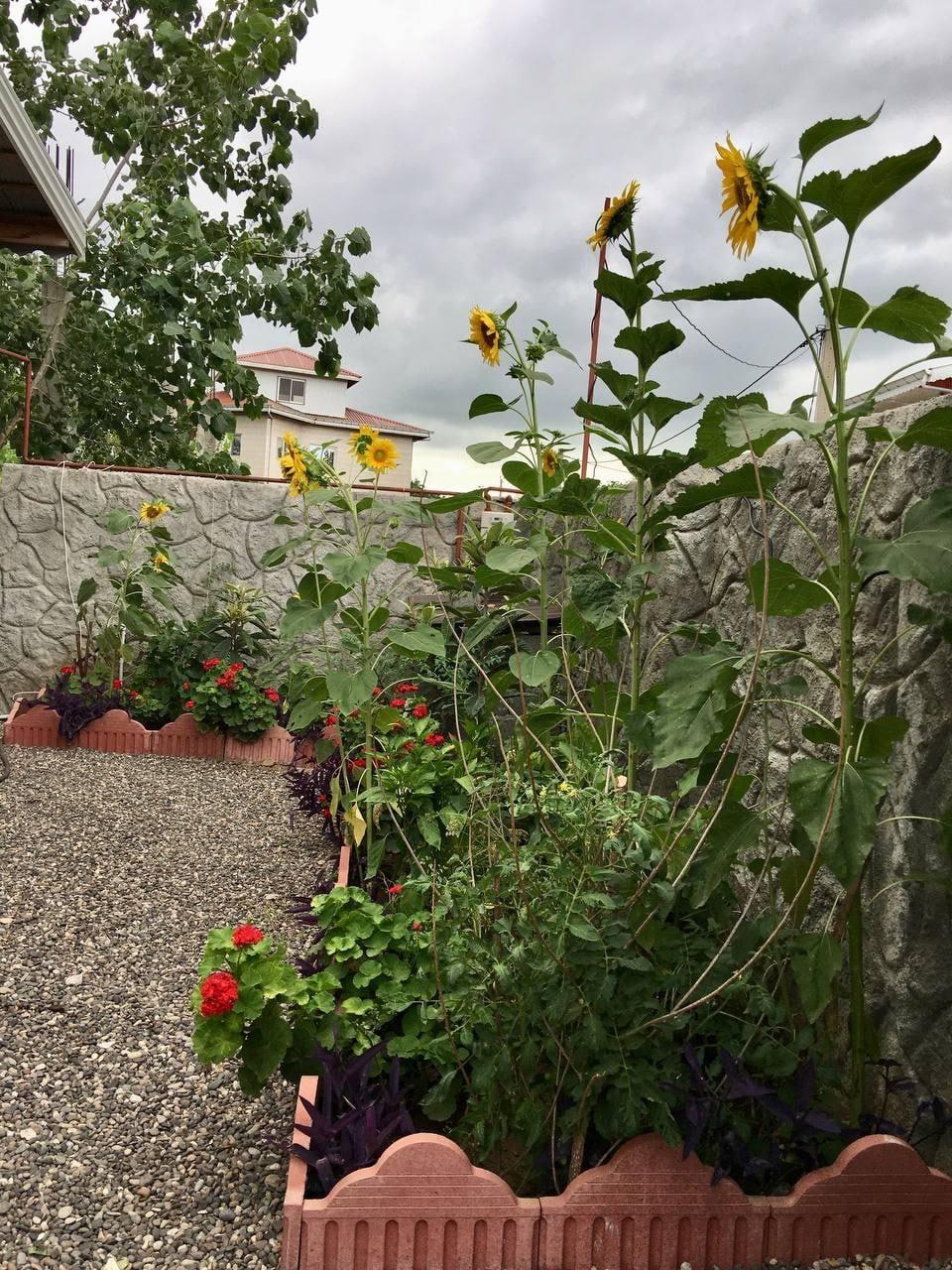 ویلای ساحلی دو خوابه تیجا - میجا