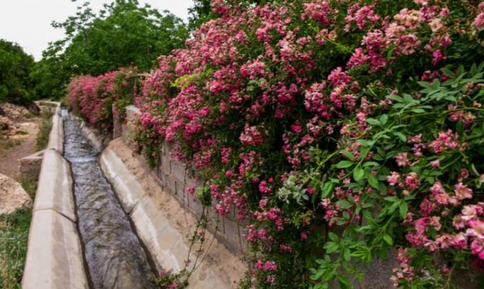 اجاره اقامتگاه بوم گردی دهمورد در آباده طشک
