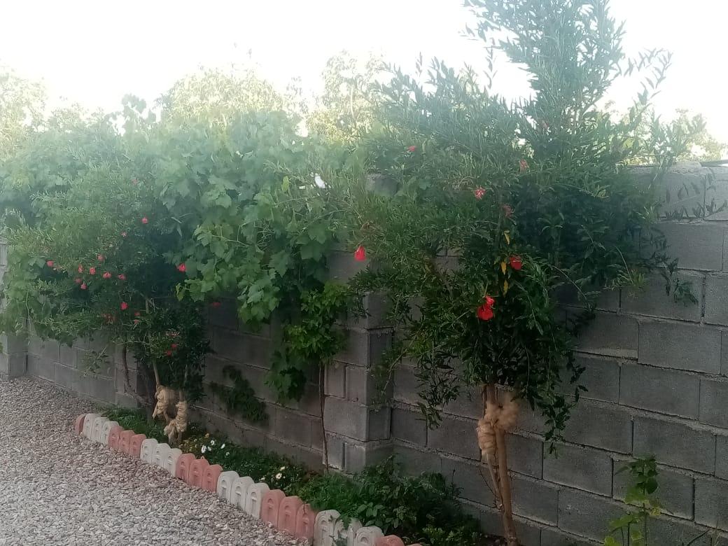 ویلا باغ اجاره ای ایلیا -سوئیت کوچک در سی سخت