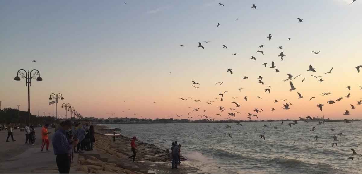 منزل کنار دریا خلیج فارس بافت قدیم