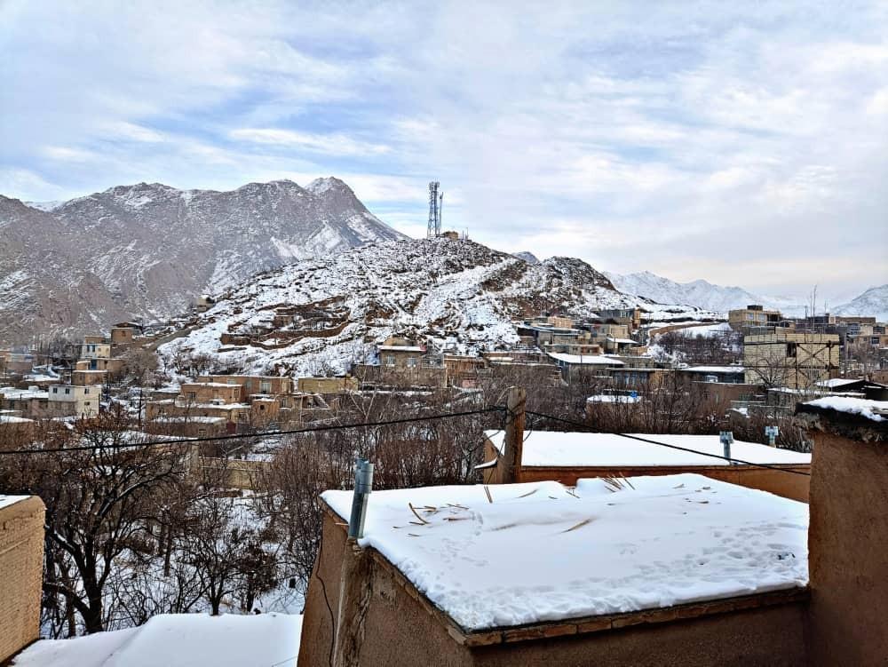 بومگردی آرامش شهر برزک - بهار نارنج