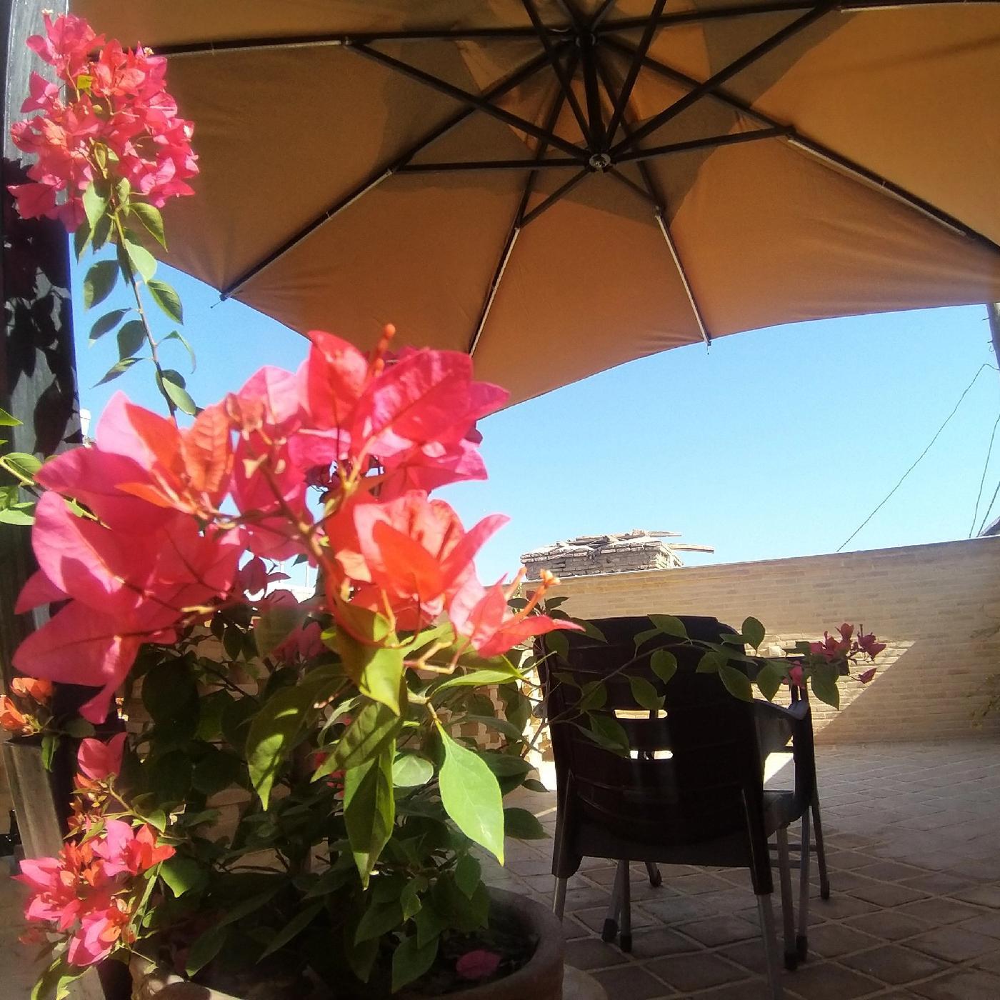 رزرو آنلاین خانه قصرالدشتیها در شیراز