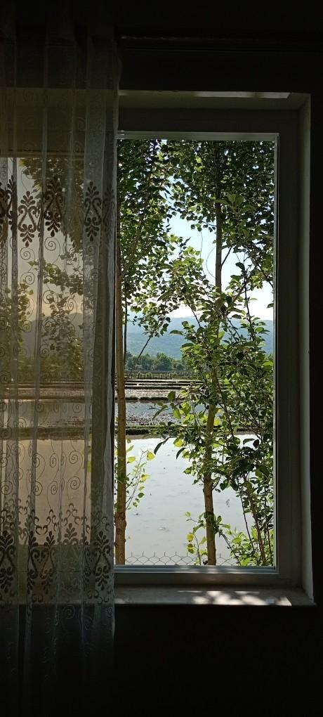 اجاره روزانه ویلا سه خوابه در ماسال