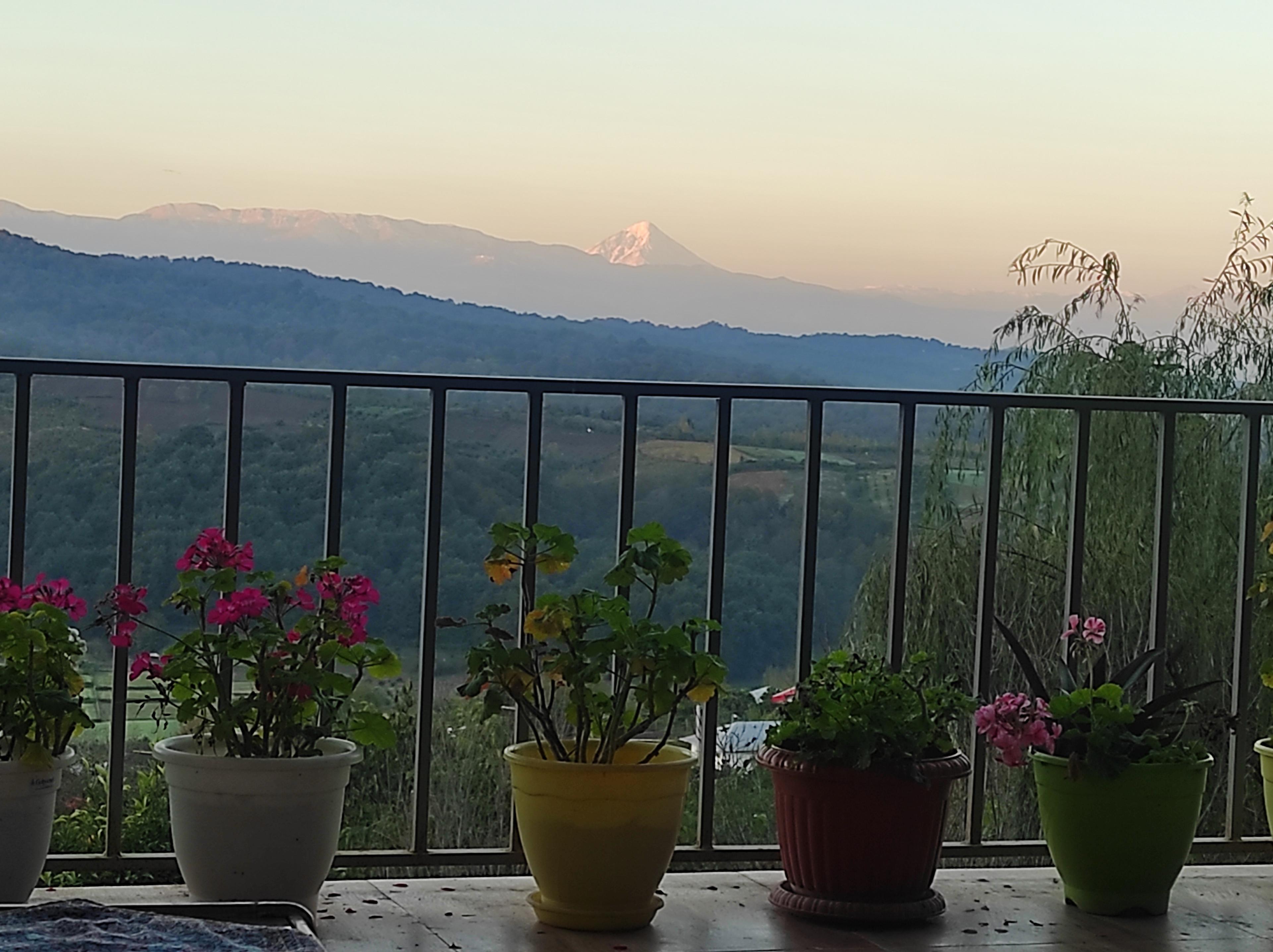 سوئیت جنگلی ویو ابدی در قائم شهر