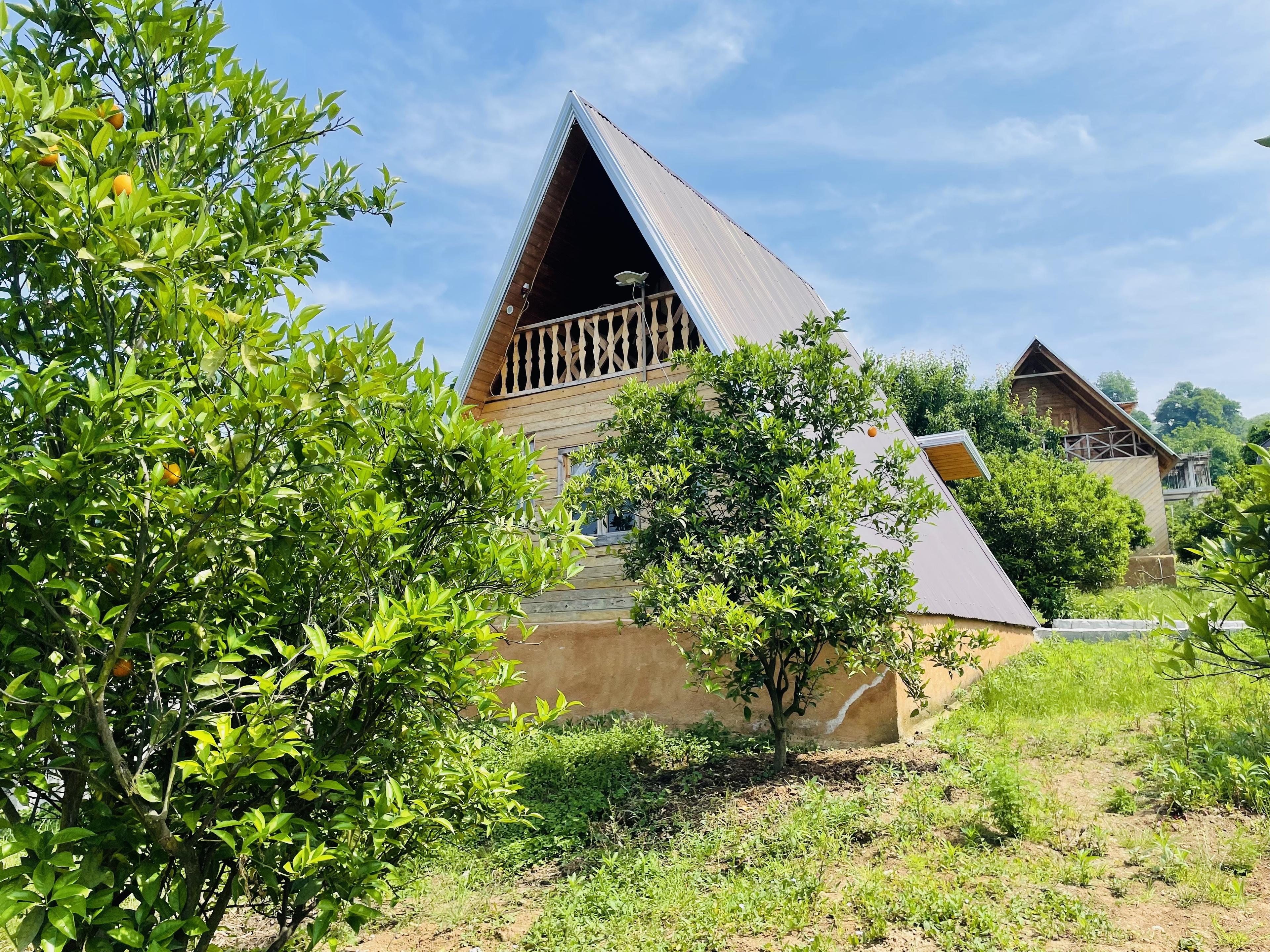 اجاره کلبه چوبی تک خوابه در سوادکوده