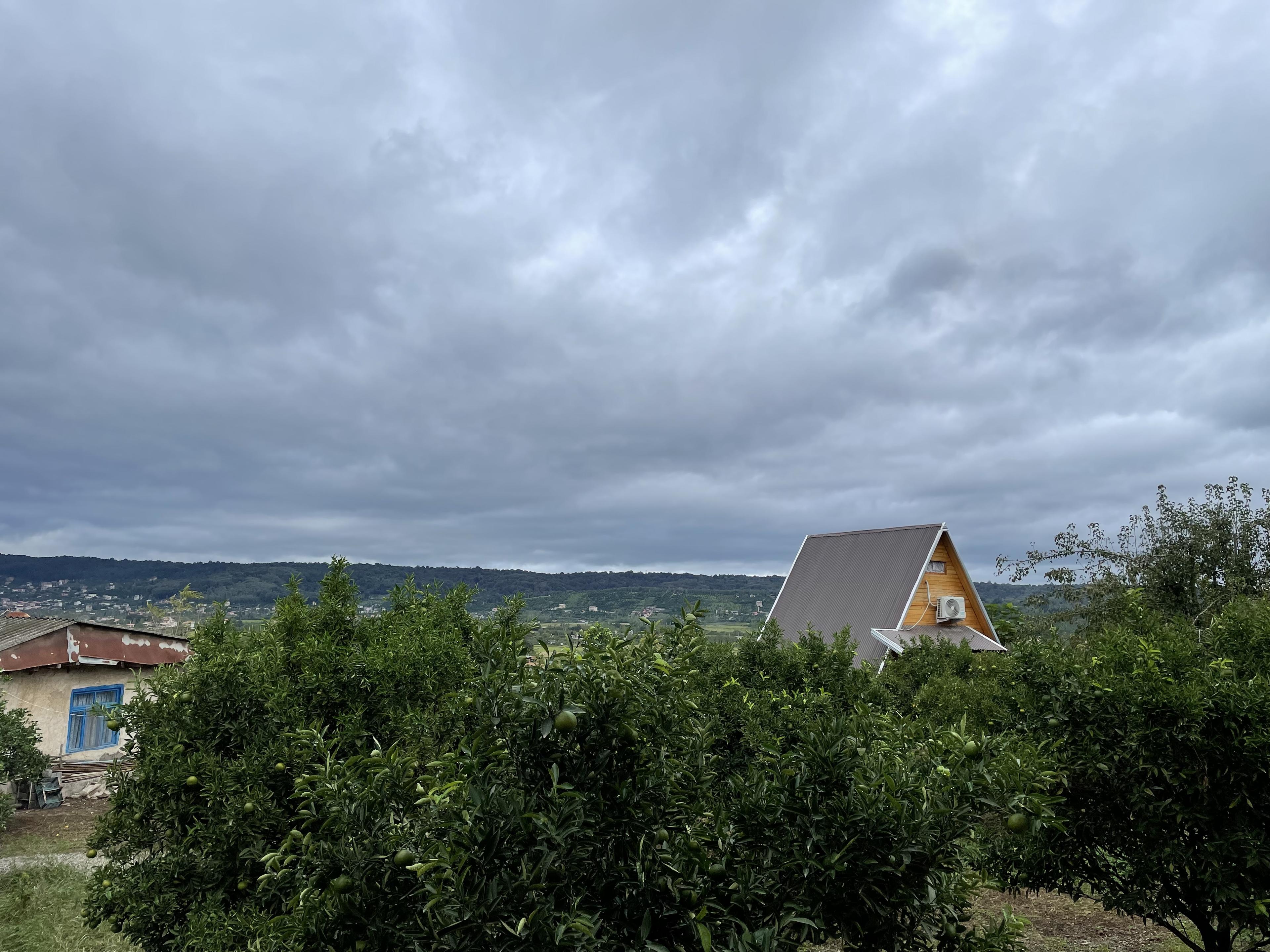 اجاره کلبه چوبی تک خوابه در سوادکوده