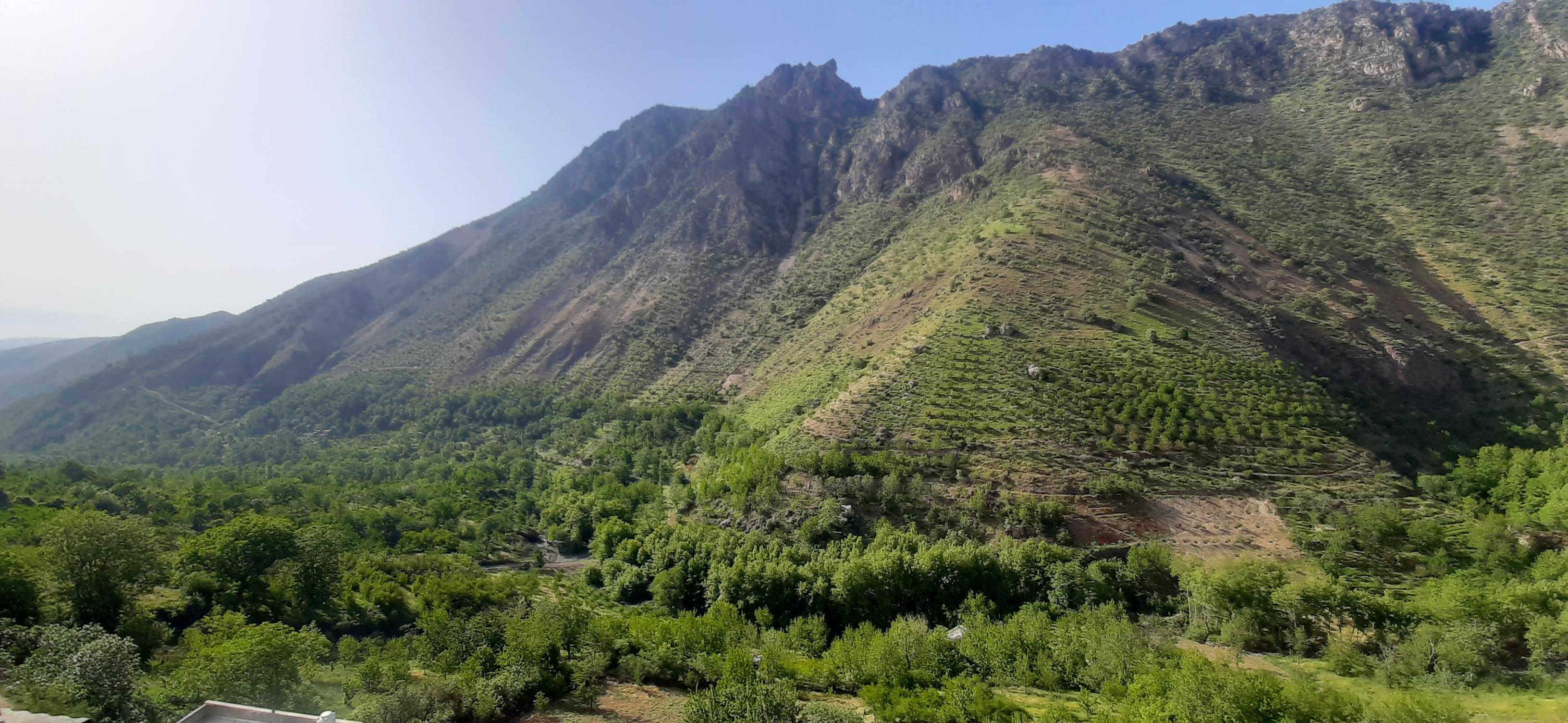 اقامتگاه بوم گردی بام شیت در طارم