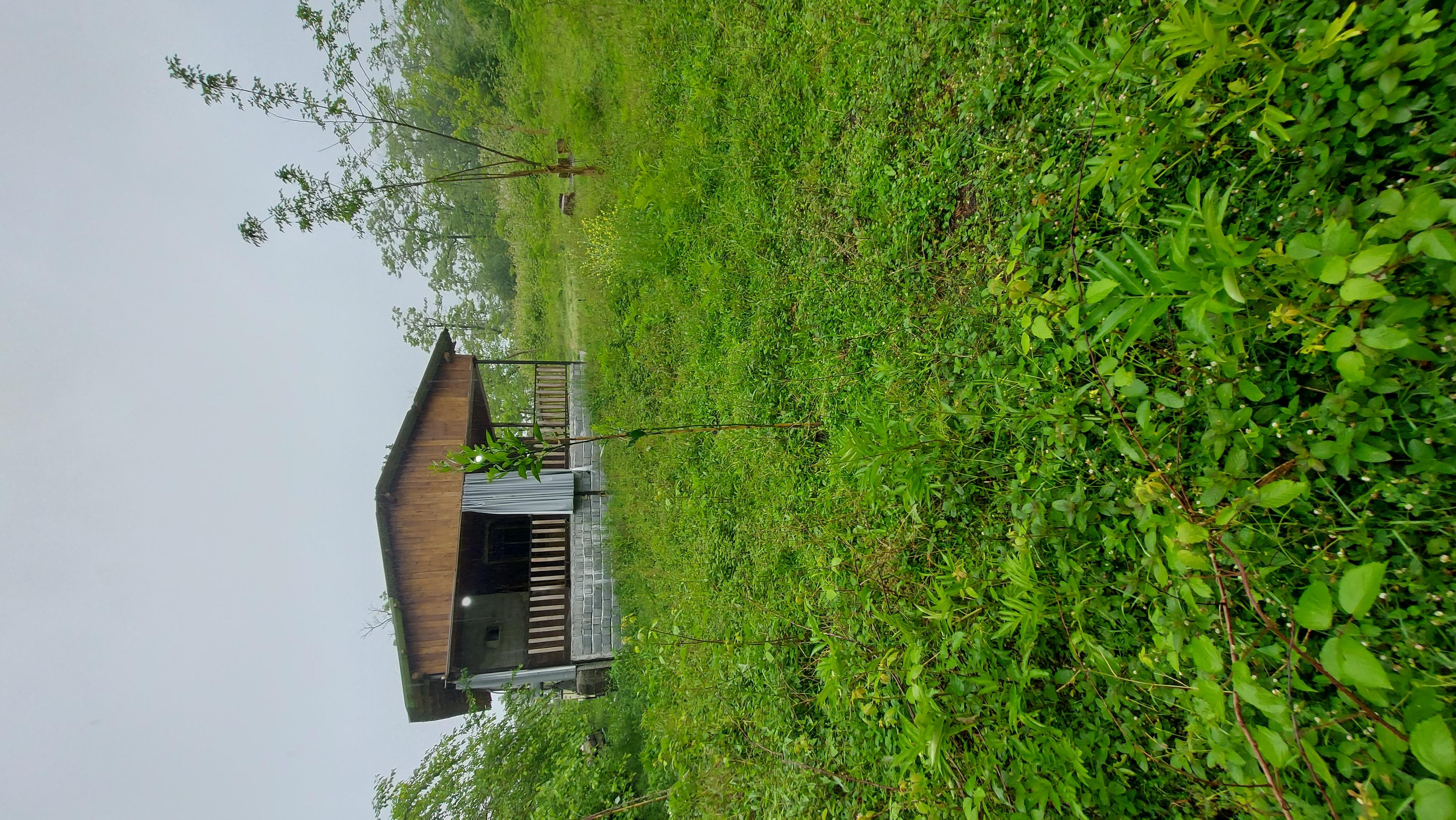 سوئیت بوم گردی 50 متری بدون خواب در لفور