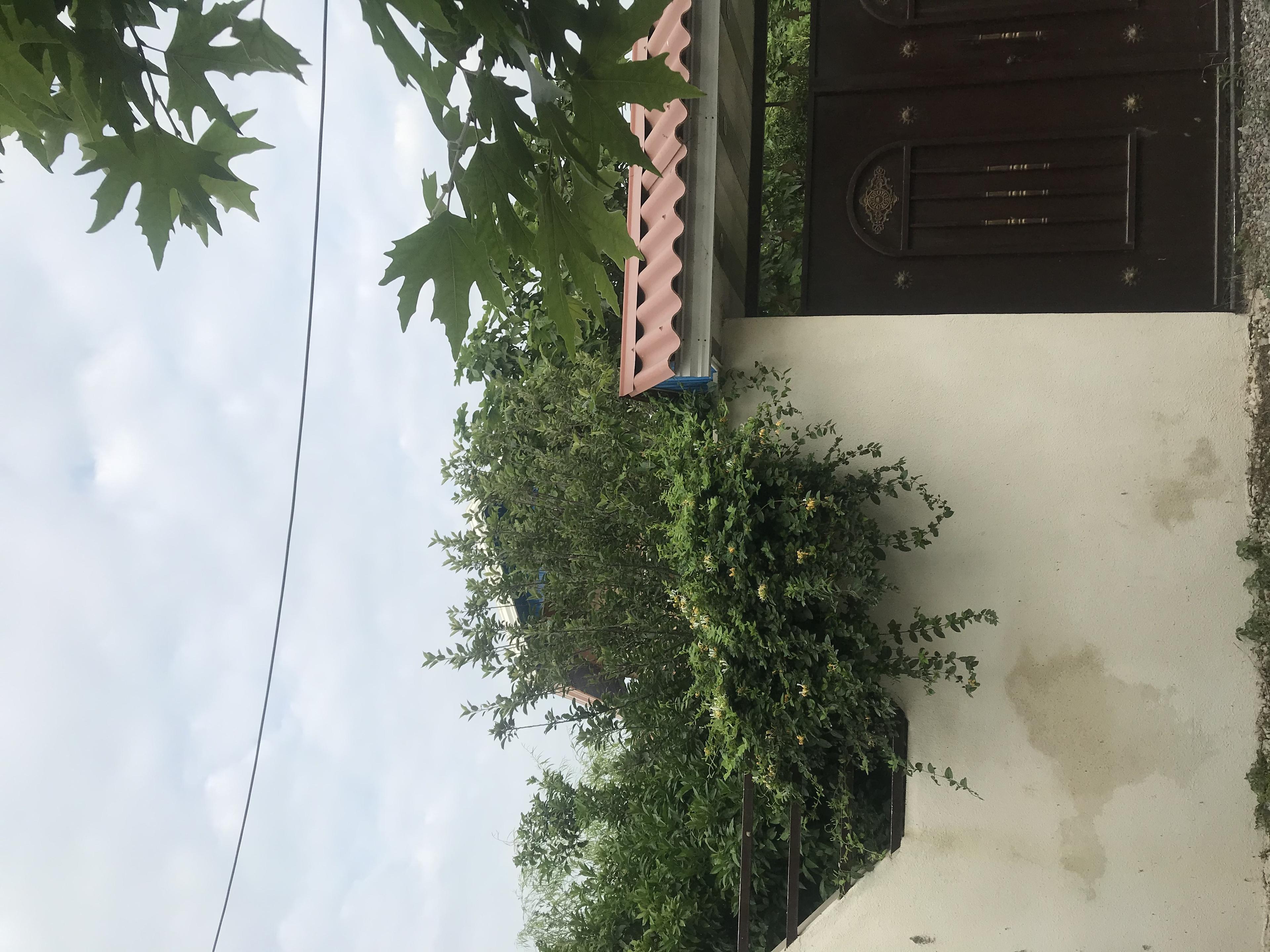 اجاره منزل ویلایی دربست در مازندران