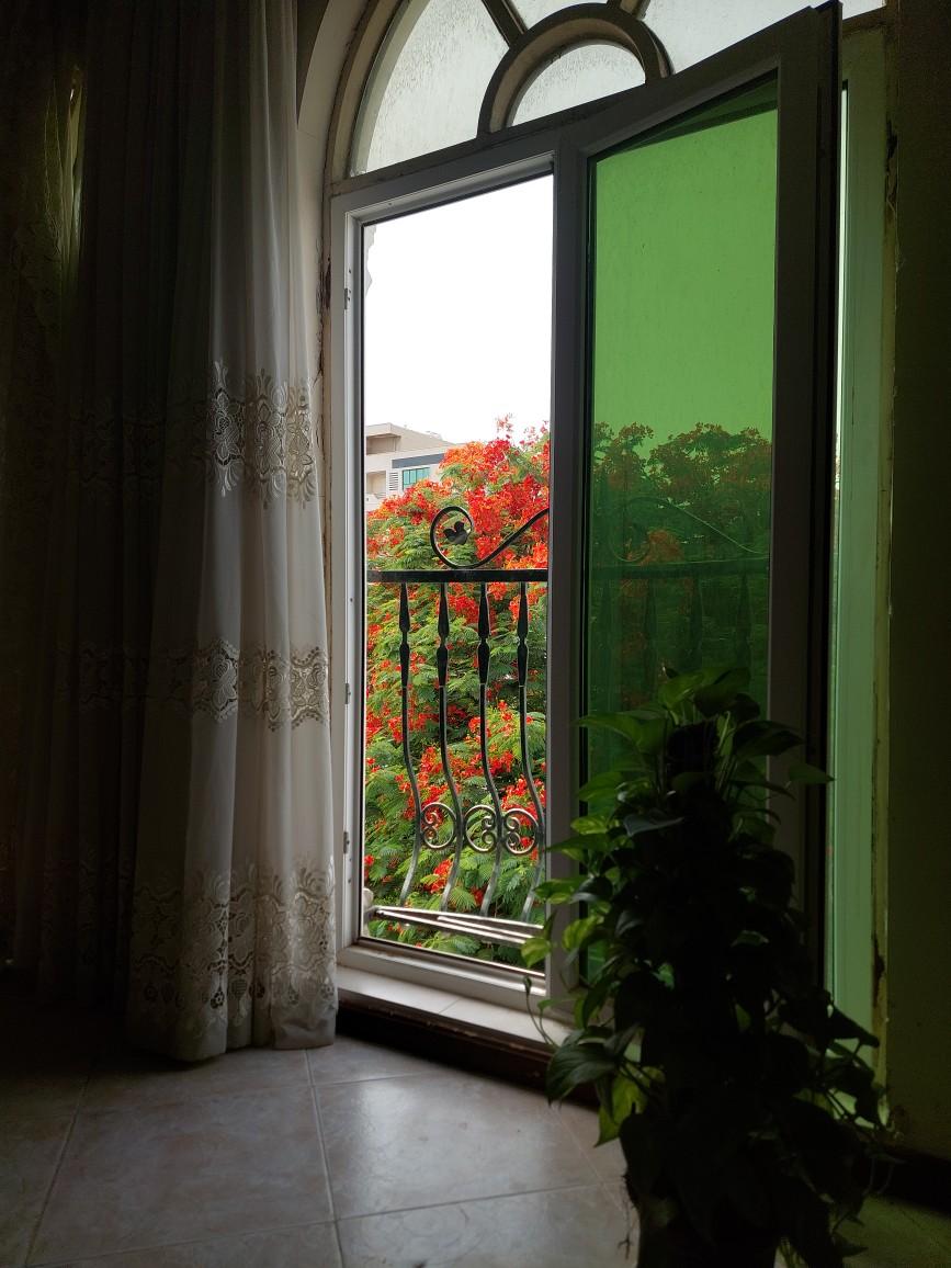 ویلایی چهار خواب با امکانات کامل در بوشهر