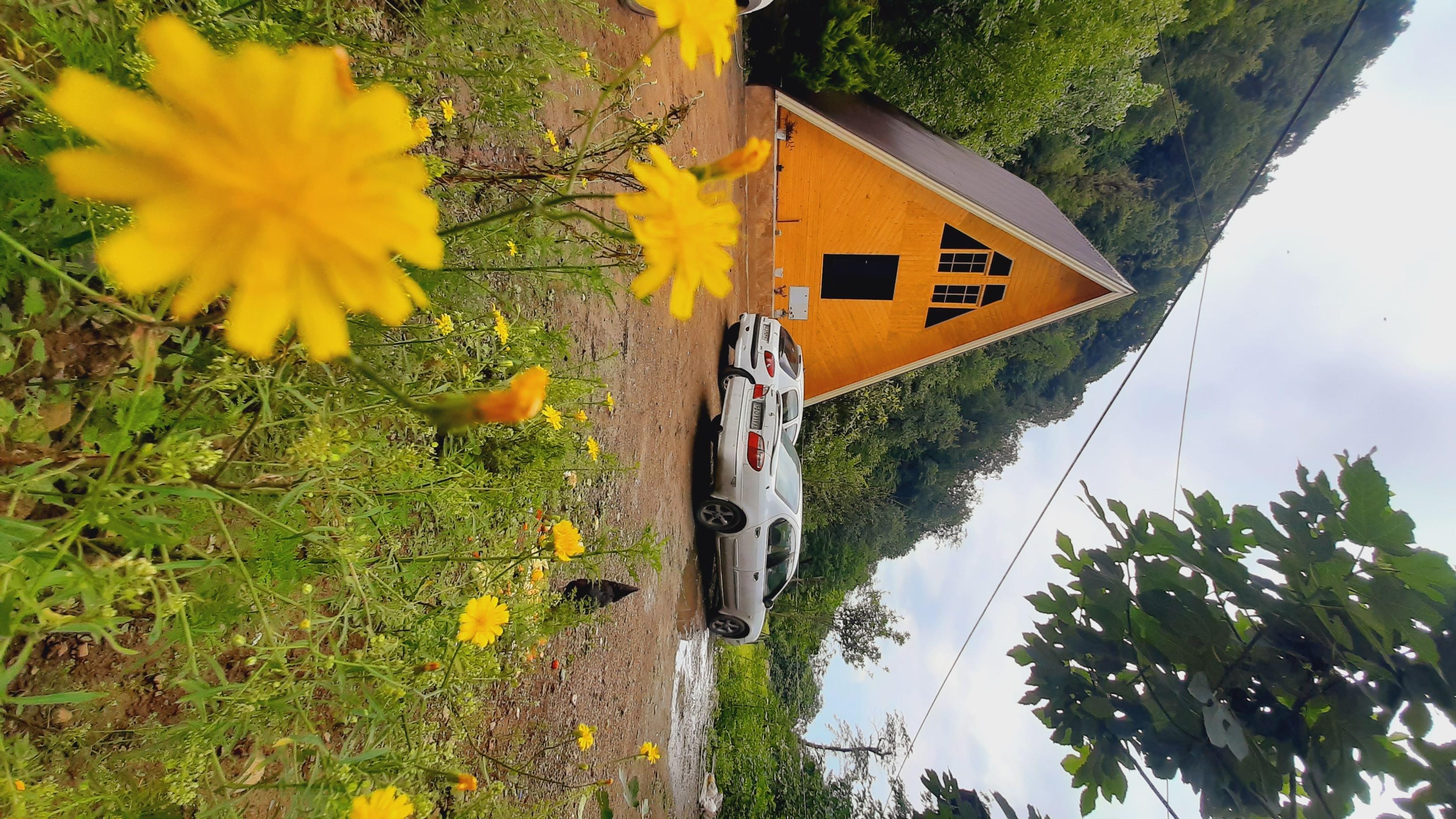 کلبه سوییسی جاده اسالم به خلخال