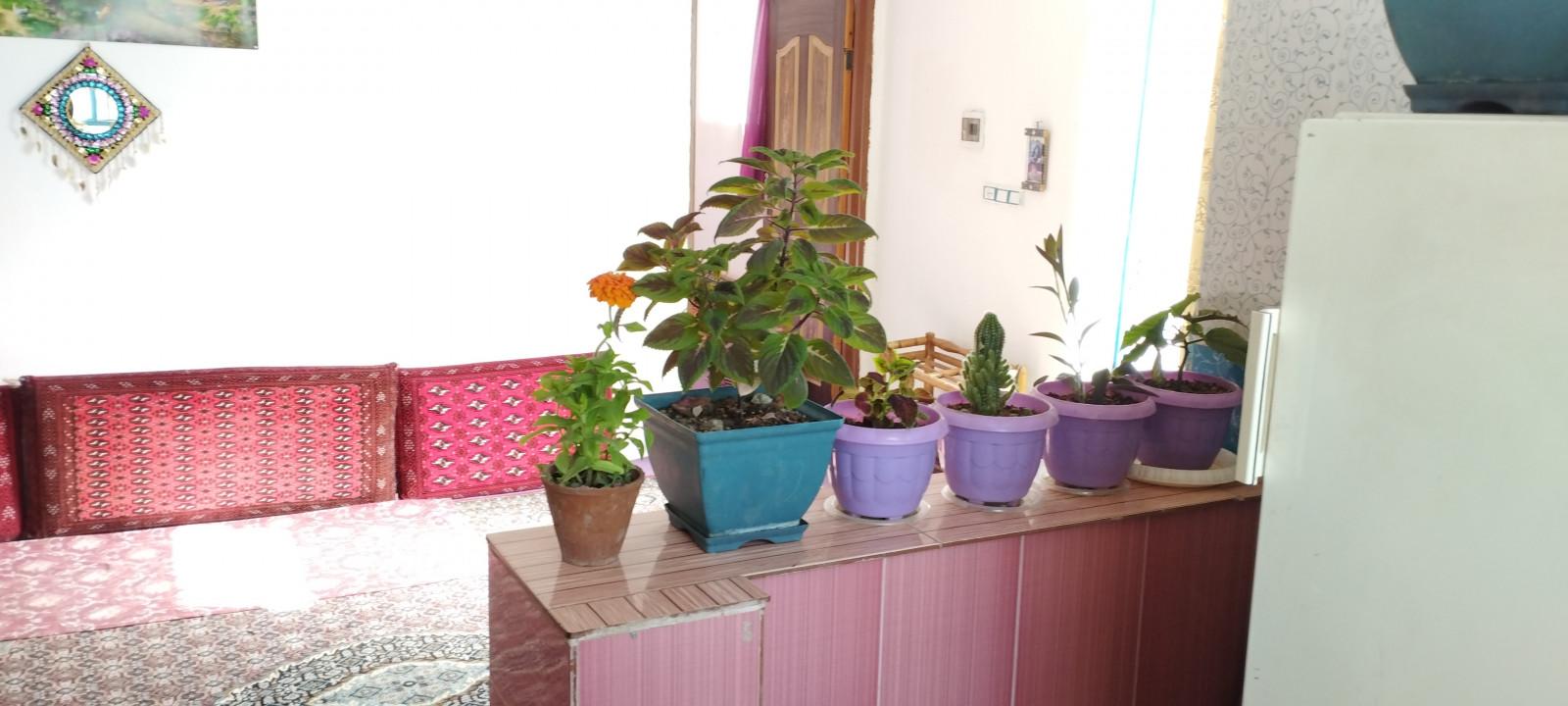 اقامتگاه زولان جنگل ابر در شاهرود