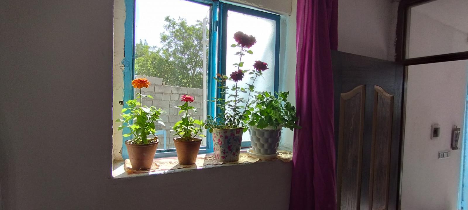 اقامتگاه زولان جنگل ابر در شاهرود