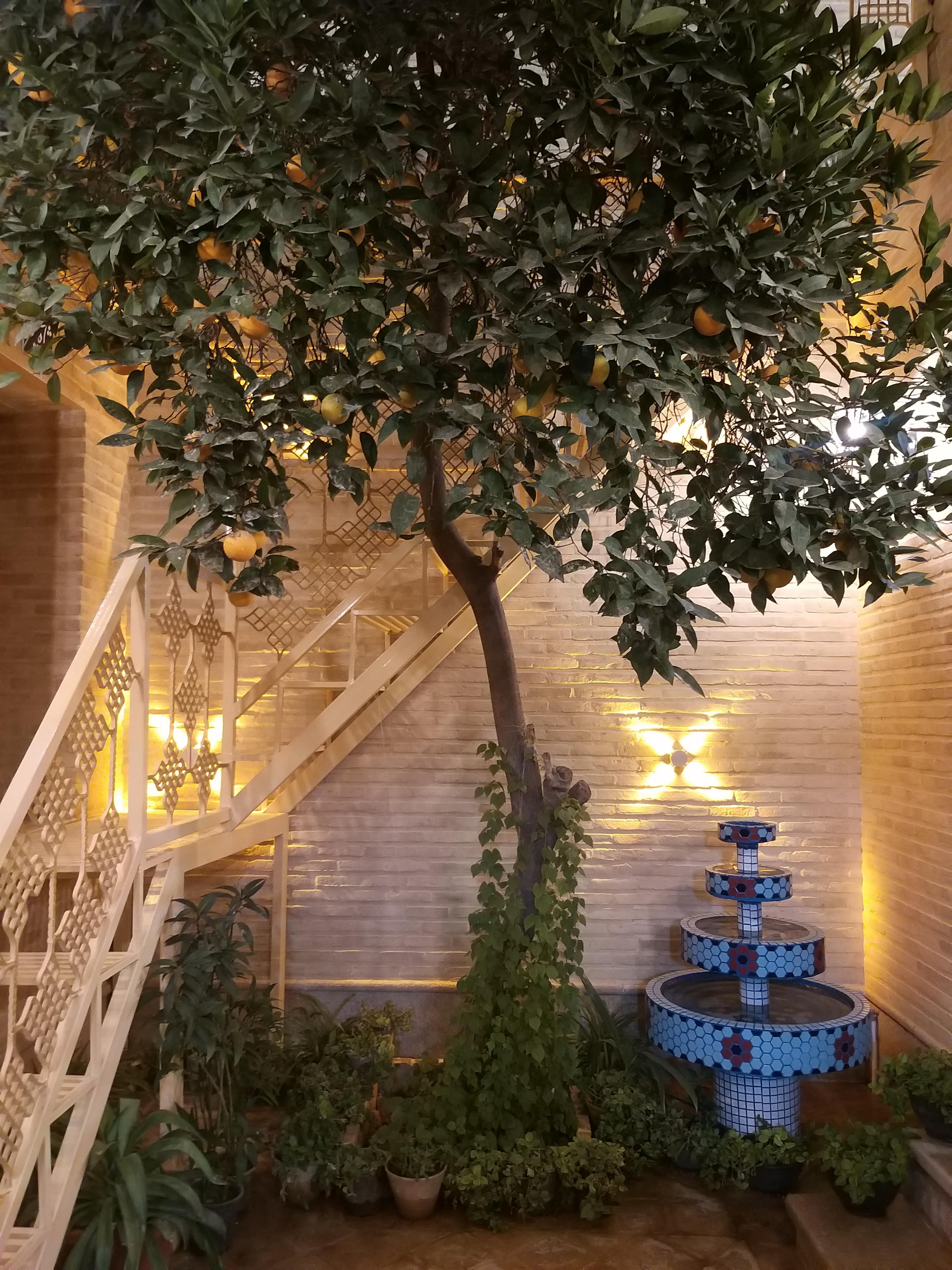رزرو آنلاین خانه قصرالدشتی‌ها در شیراز