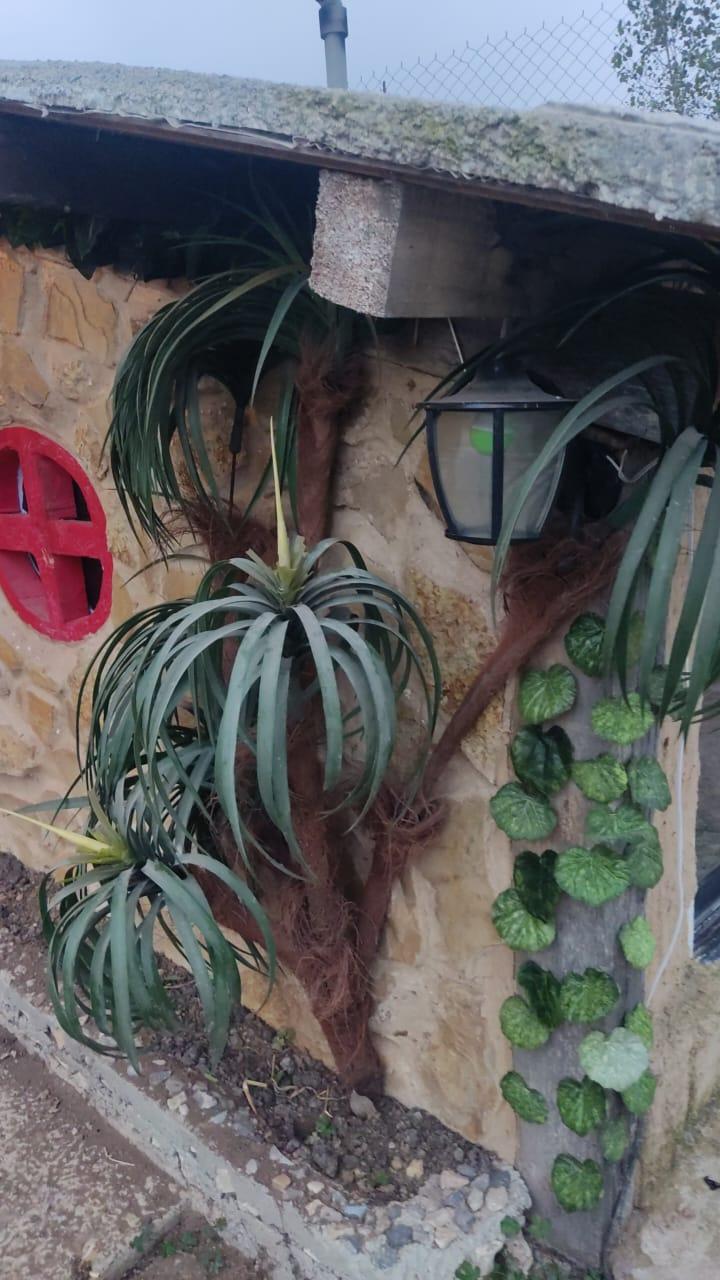 اقامتگاه بوم گردی عمارت تابان ساری