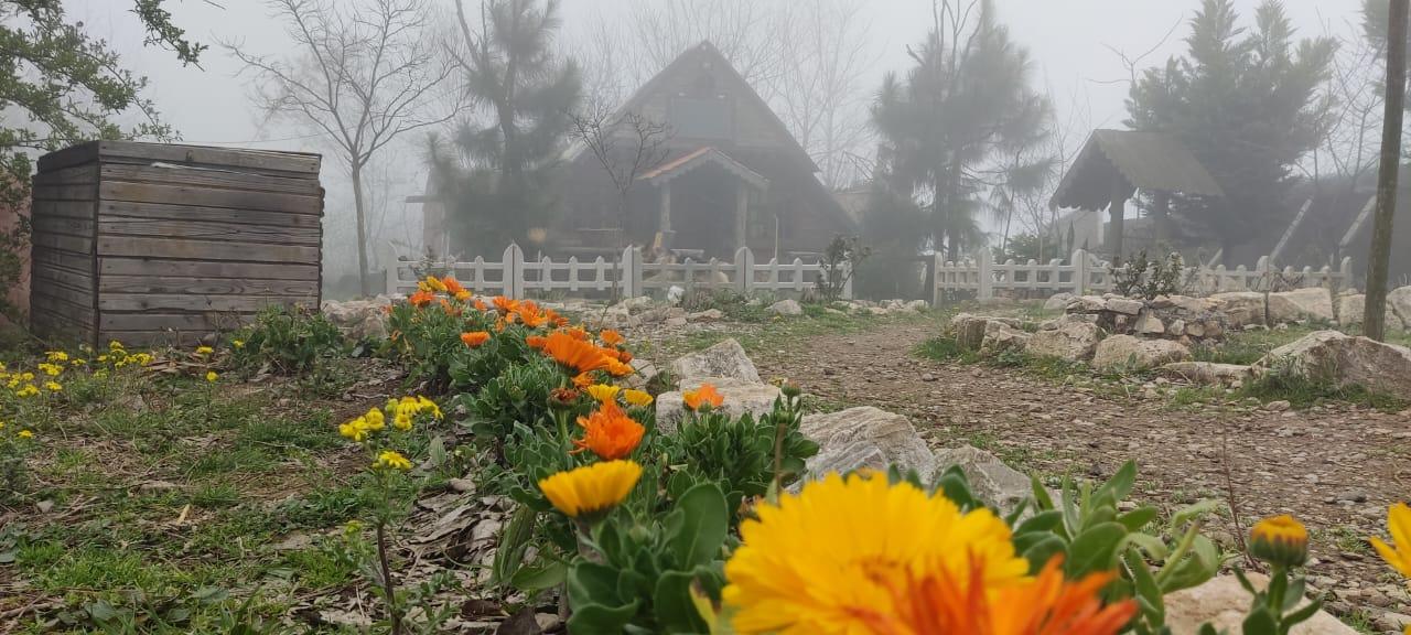 اقامتگاه بوم گردی عمارت تابان ساری