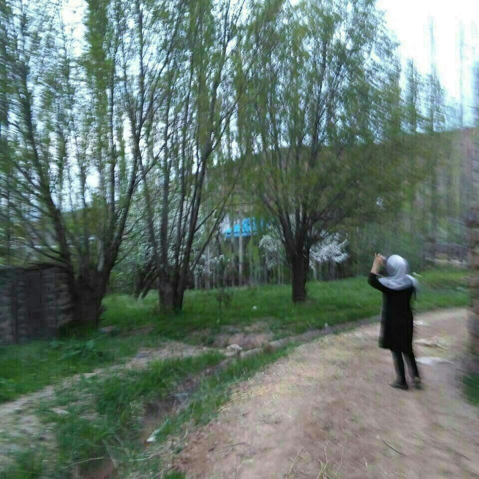 اجاره ویلا سنتی دو خوابه طالقان