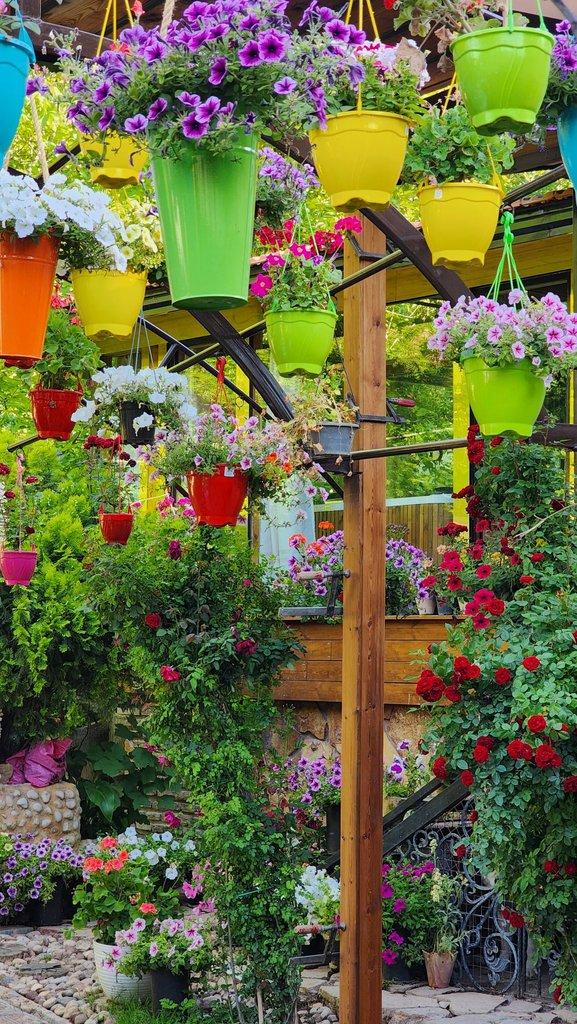 اجاره ویلا باغ استخردار دلوین در شیراز