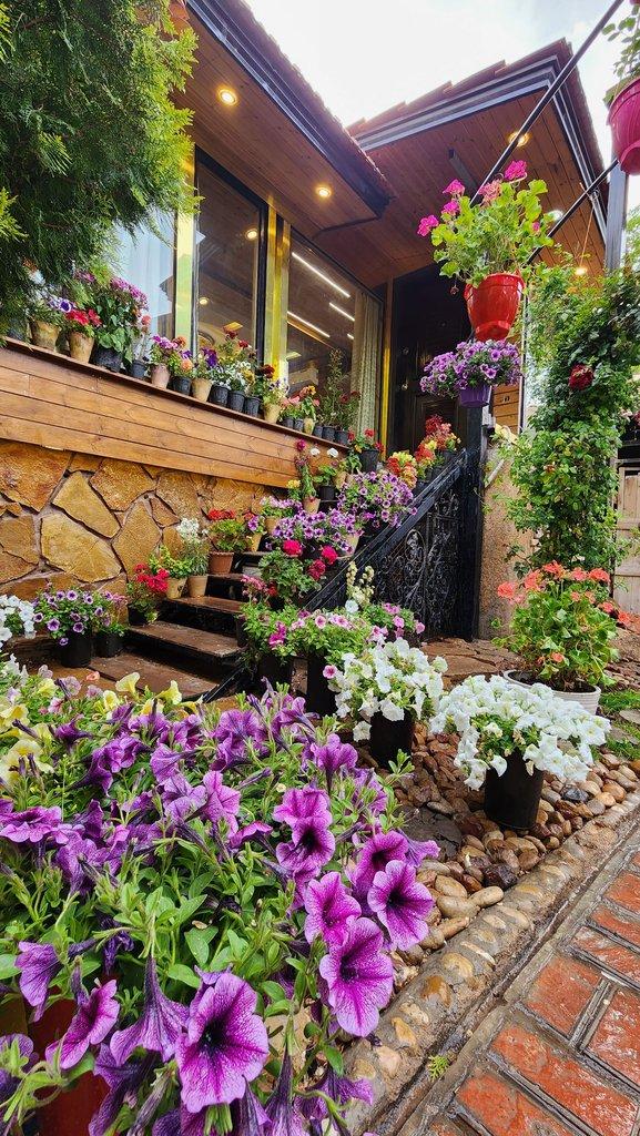 اجاره ویلا باغ استخردار دلوین در شیراز