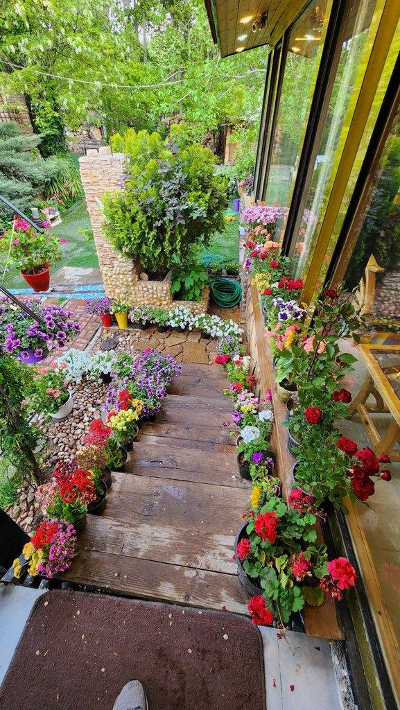 اجاره ویلا باغ استخردار دلوین در شیراز