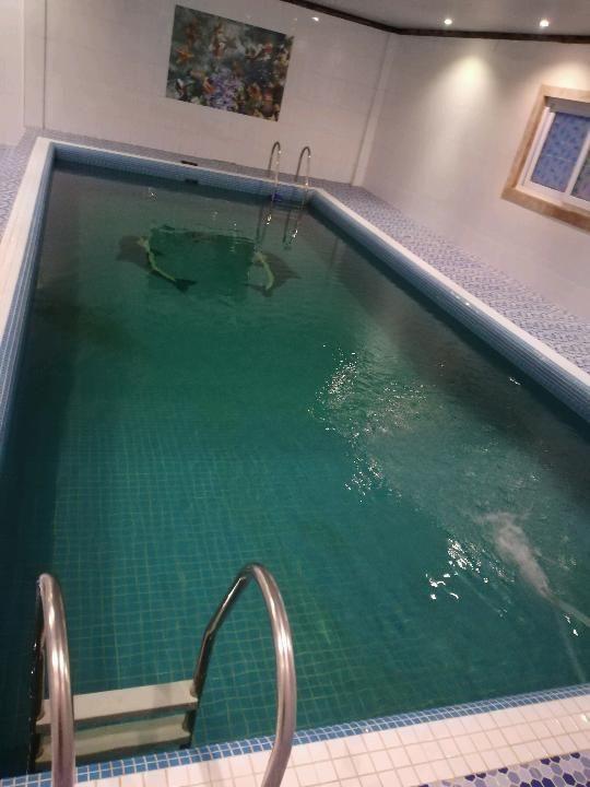 اجاره ویلا محمود آباد ساحلی جنگلی