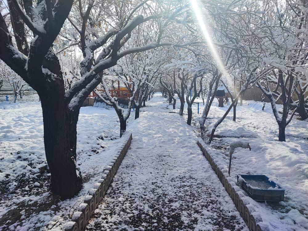 اجاره سوییت ویلا استخر دار باغ ناز شهریار