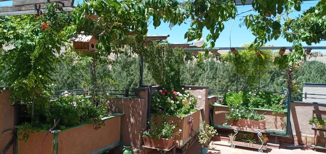 اجاره روزانه اقامتگاه سنتی در شهرکرد